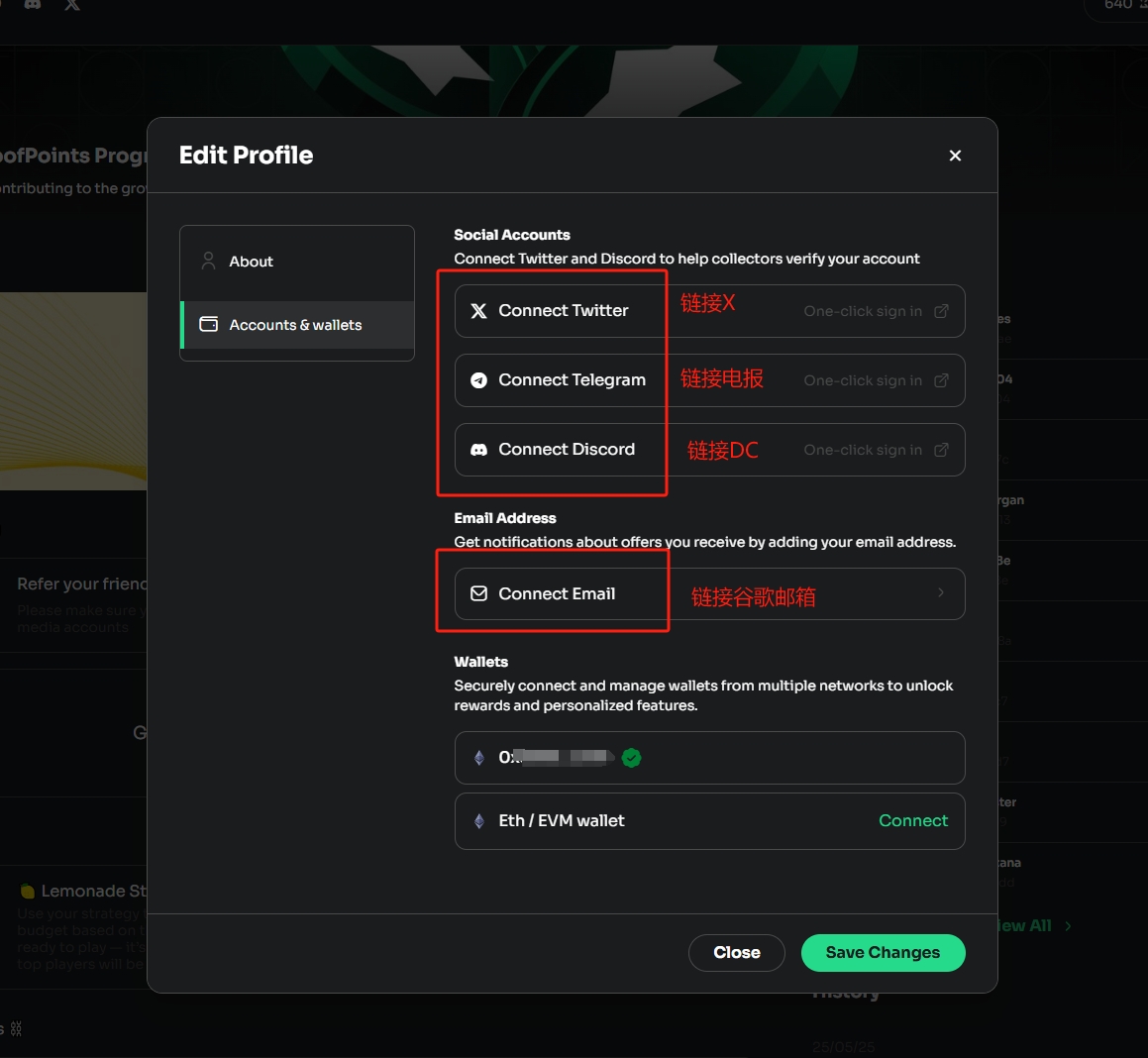 测试网0撸项目zkVerify交互教程
