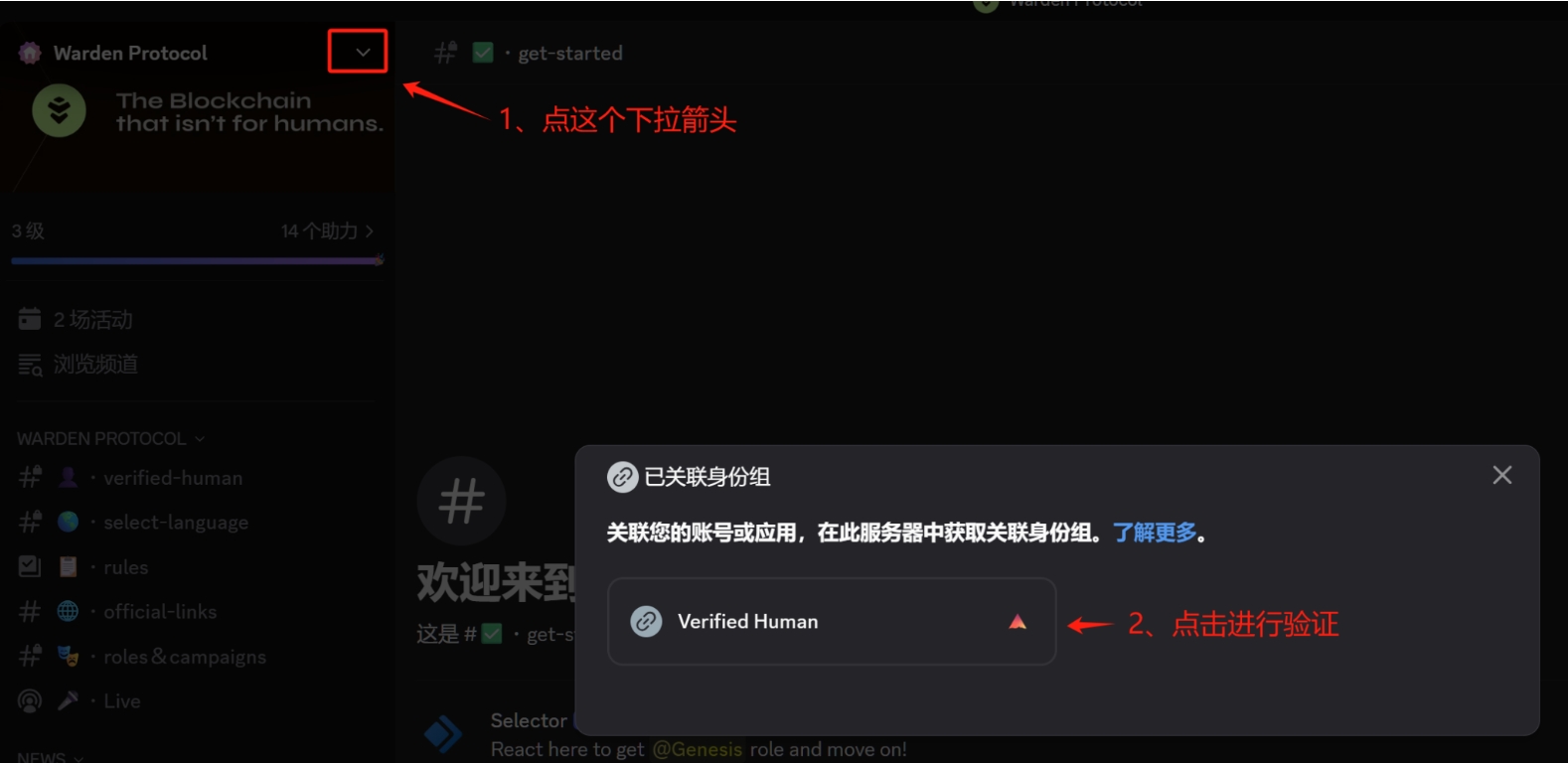 Warden空投--完整参与攻略（7.15更新）