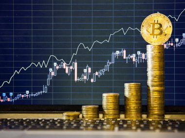 到 2025 年,您需要多少比特币才能致富?