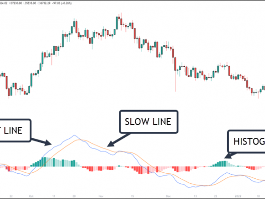 加密货币交易的 MACD 策略
