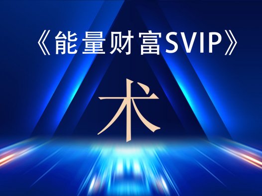 财富能量SVIP之—《术》