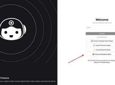 DeFAI项目-HeyElsa 教程
